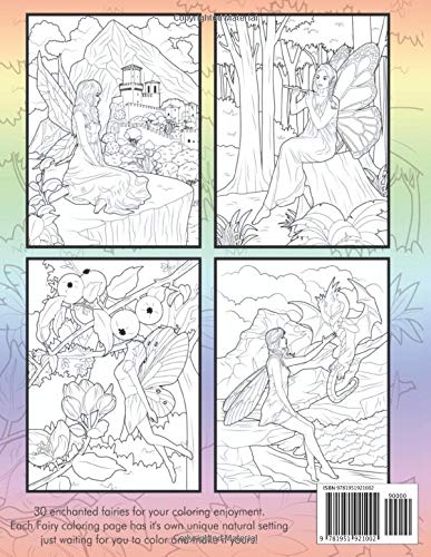 fairy moon back cover